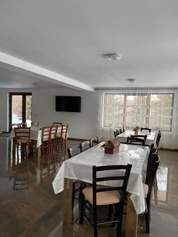 Silver Mountain Villa Colibiţa エクステリア 写真