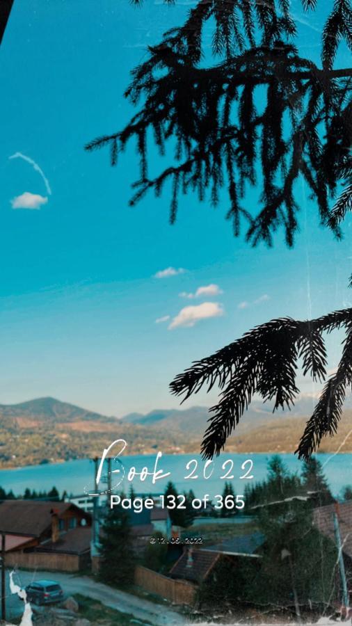 Silver Mountain Villa Colibiţa エクステリア 写真